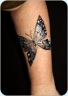 Fanct Painted Butterfly on a womans arm